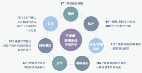 臻和科技獲超十億元E輪融資，加速腫瘤診斷產品研發及信息技術咨詢服務升級